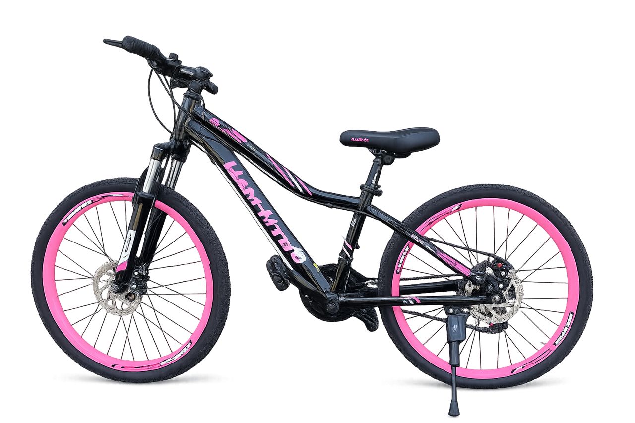 VÉLO HAM 24'' pour fille