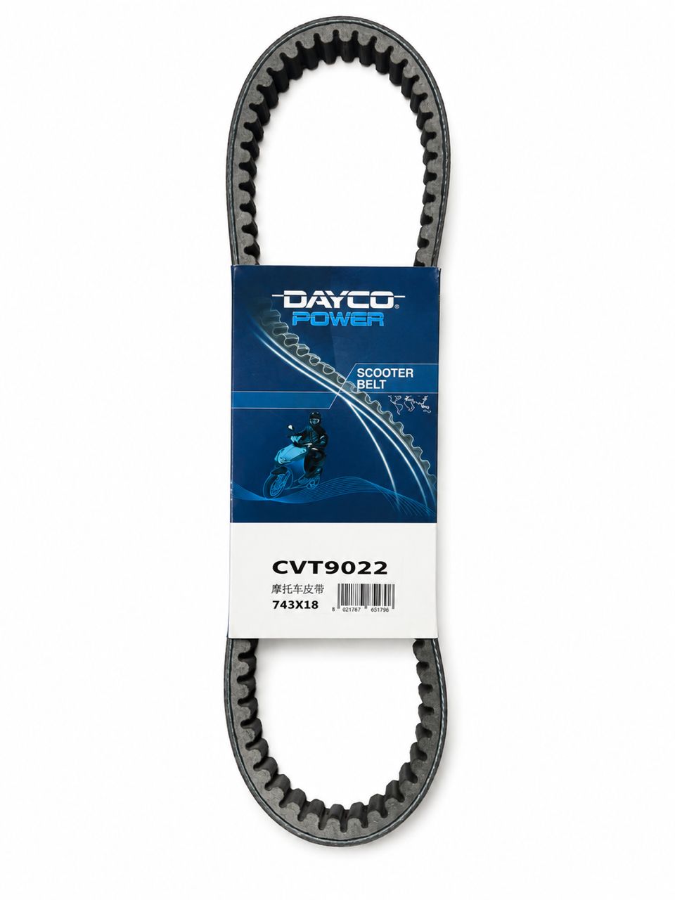 COURROIE DAYCO VMS PANAREA